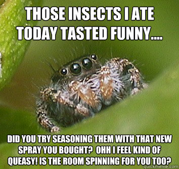 Those insects i ate today tasted funny.... did you try seasoning them with that new spray you bought?  ohh I feel kind of queasy! Is the room spinning for you too?  - Those insects i ate today tasted funny.... did you try seasoning them with that new spray you bought?  ohh I feel kind of queasy! Is the room spinning for you too?   Misunderstood Spider