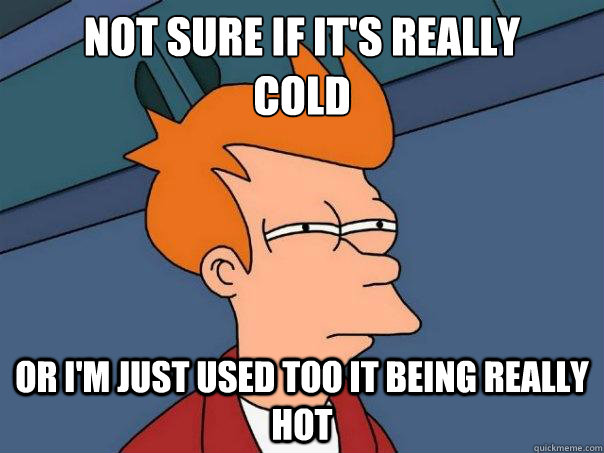Not sure if it's really
cold Or I'm just used too it being really hot - Not sure if it's really
cold Or I'm just used too it being really hot  Futurama Fry