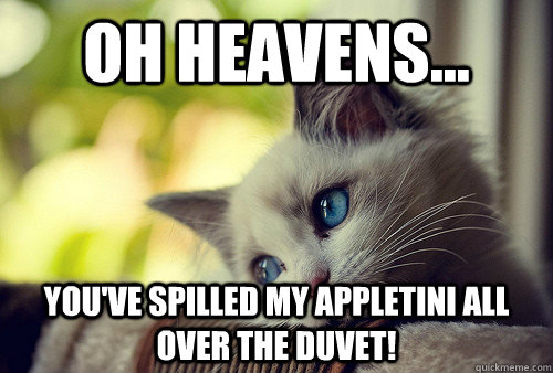 Oh heavens... you've spilled my appletini all over the duvet!  First World Problems Cat