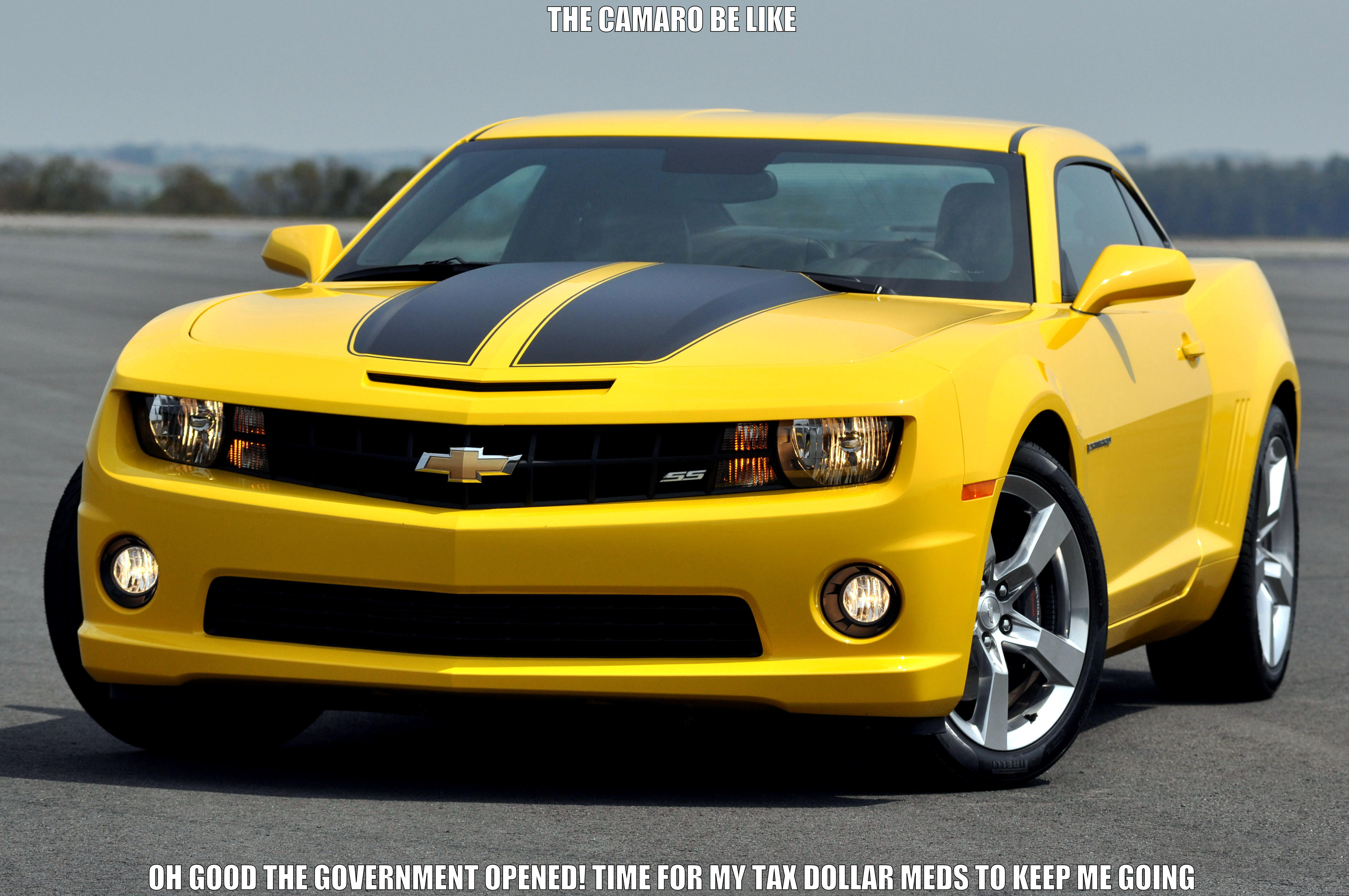 Camaro aids - THE CAMARO BE LIKE OH GOOD THE GOVERNMENT OPENED! TIME FOR MY TAX DOLLAR MEDS TO KEEP ME GOING Misc