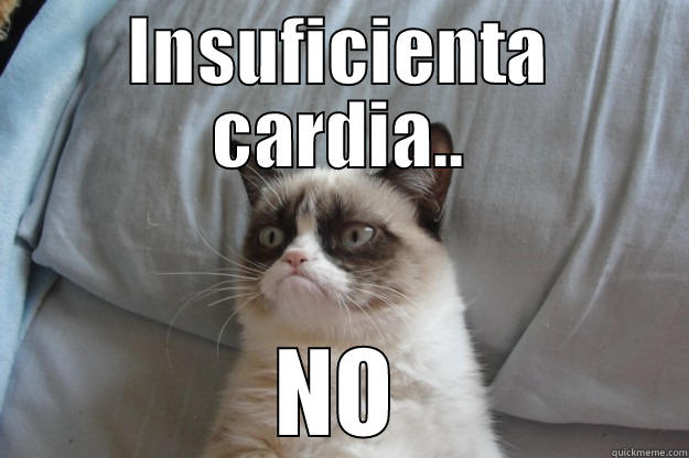 INSUFICIENTA CARDIA.. NO Grumpy Cat