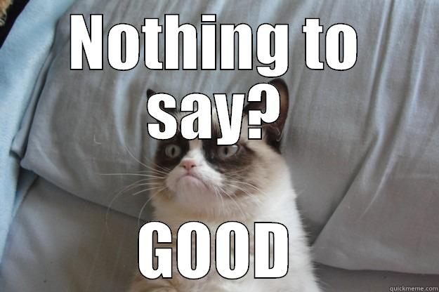 Nothing to say - NOTHING TO SAY? GOOD Grumpy Cat