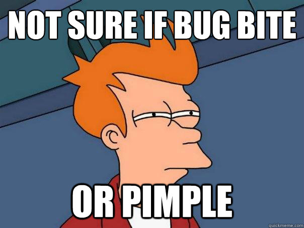 not sure if bug bite or pimple - not sure if bug bite or pimple  Futurama Fry