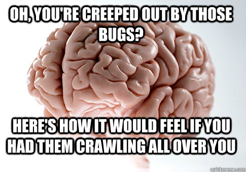 OH, YOU'RE CREEPED OUT BY THOSE BUGS? HERE'S HOW IT WOULD FEEL IF YOU HAD THEM CRAWLING ALL OVER YOU   Scumbag Brain