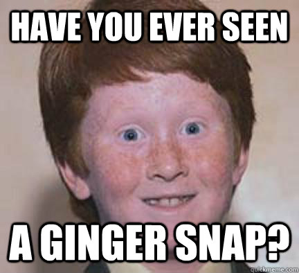 Have you ever seen a ginger snap? - Have you ever seen a ginger snap?  Over Confident Ginger