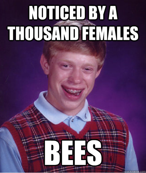 noticed by a thousand females bees  Bad Luck Brian