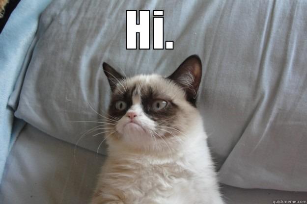 Do you want to be my friend ? - HI.  Grumpy Cat