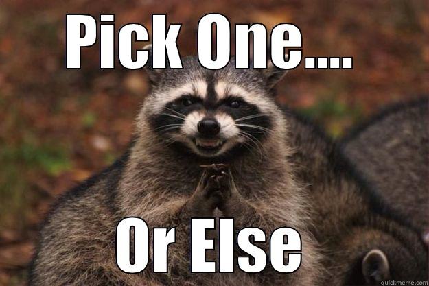 PICK ONE.... OR ELSE Evil Plotting Raccoon