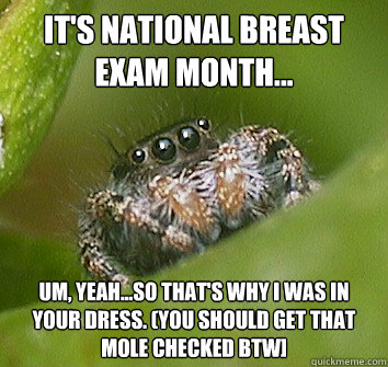 It's national breast exam month... um, yeah...so that's why I was in your dress. (you should get that mole checked btw]  Misunderstood Spider