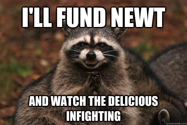 I'll fund Newt and watch the delicious infighting  - I'll fund Newt and watch the delicious infighting   Evil Plotting Raccoon