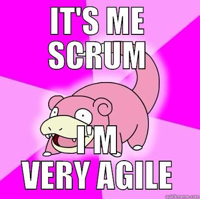 IT'S ME SCRUM I'M VERY AGILE Slowpoke