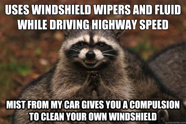 Uses Windshield Wipers and Fluid while driving highway speed mist from my car gives you a compulsion to clean your own windshield  Evil Plotting Raccoon