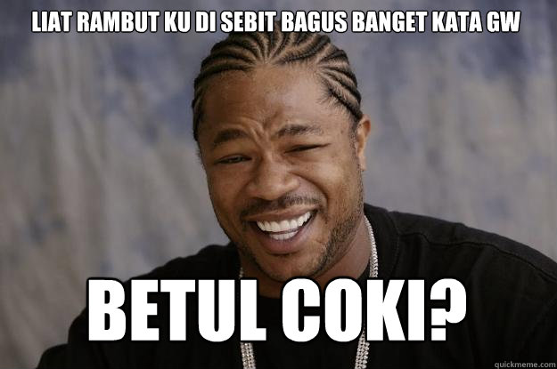 Liat rambut ku di sebit bagus banget kata gw betul Coki?  Xzibit meme