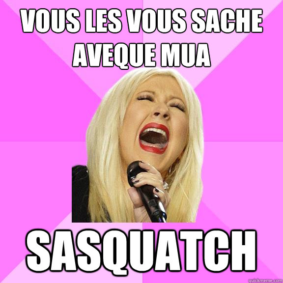 Vous les vous sache aveque mua sasquatch  Wrong Lyrics Christina