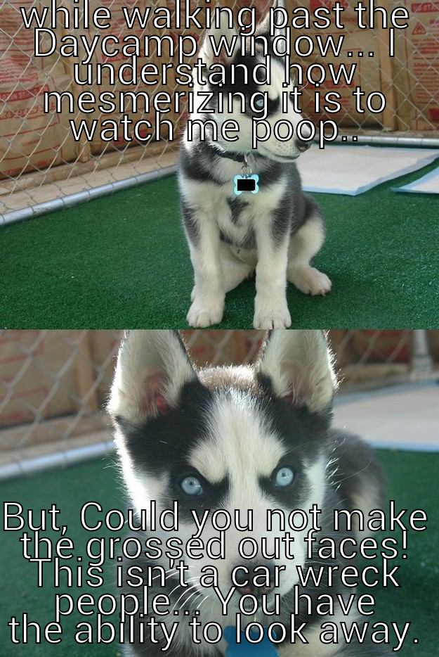 WHILE WALKING PAST THE DAYCAMP WINDOW... I UNDERSTAND HOW MESMERIZING IT IS TO WATCH ME POOP.. BUT, COULD YOU NOT MAKE THE GROSSED OUT FACES! THIS ISN'T A CAR WRECK PEOPLE... YOU HAVE THE ABILITY TO LOOK AWAY. Insanity puppy