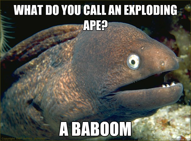 What do you call an exploding ape? A baboom  Bad Joke Eel