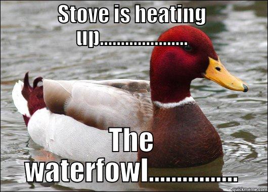 STOVE IS HEATING UP..................... THE WATERFOWL................ Malicious Advice Mallard