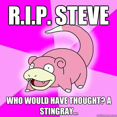 R.I.P. Steve Who would have thought? A stingray...  Slowpoke