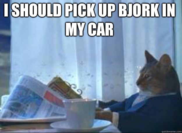 I should pick up Bjork in my car   I should buy a boat cat