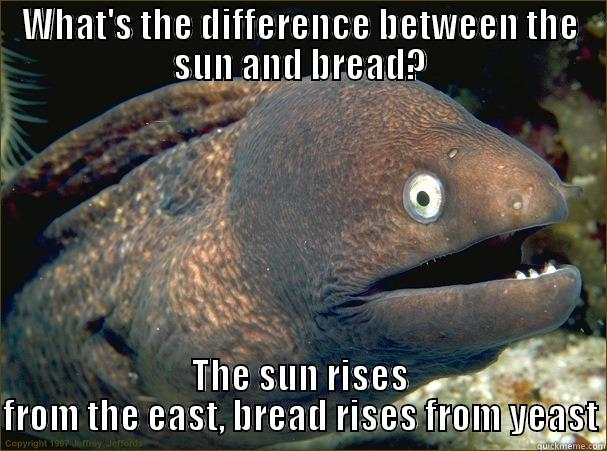 WHAT'S THE DIFFERENCE BETWEEN THE SUN AND BREAD? THE SUN RISES FROM THE EAST, BREAD RISES FROM YEAST Bad Joke Eel