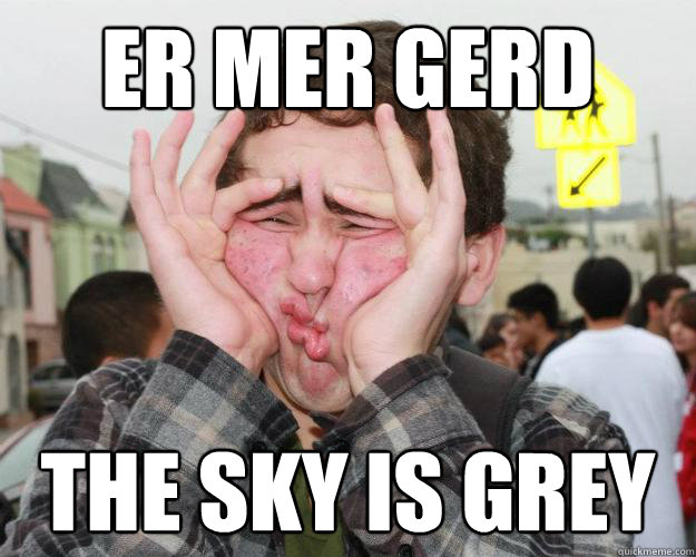 er mer gerd The sky is grey  Surprised Er Mer Gerd Guy