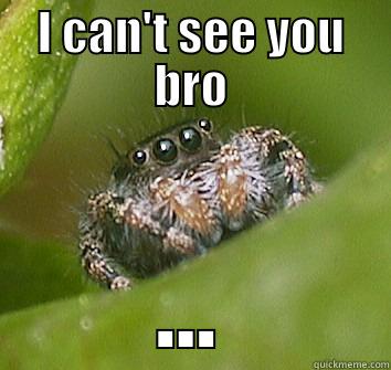 where are you? - I CAN'T SEE YOU BRO ... Misunderstood Spider