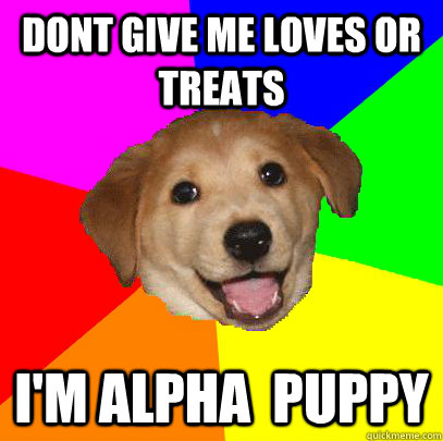 dont give me loves or treats I'M Alpha  puppy  Advice Dog