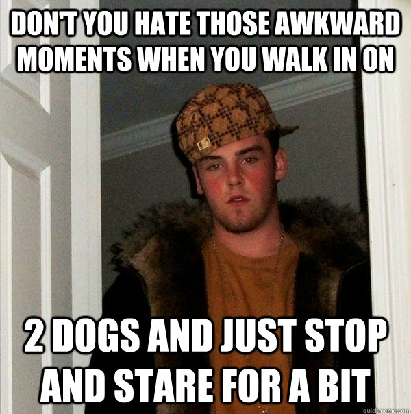 DON'T YOU HATE THOSE AWKWARD MOMENTS WHEN YOU WALK IN ON 2 DOGS AND JUST STOP AND STARE FOR A BIT  Scumbag Steve