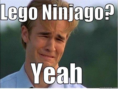 LEGO NINJAGO?  YEAH 1990s Problems