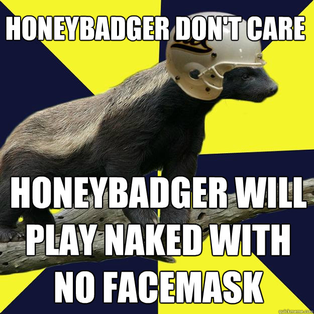 Honeybadger don't care honeybadger will play naked with no facemask  