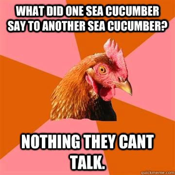 What did one sea cucumber say to another sea cucumber? Nothing they cant talk.  Anti-Joke Chicken