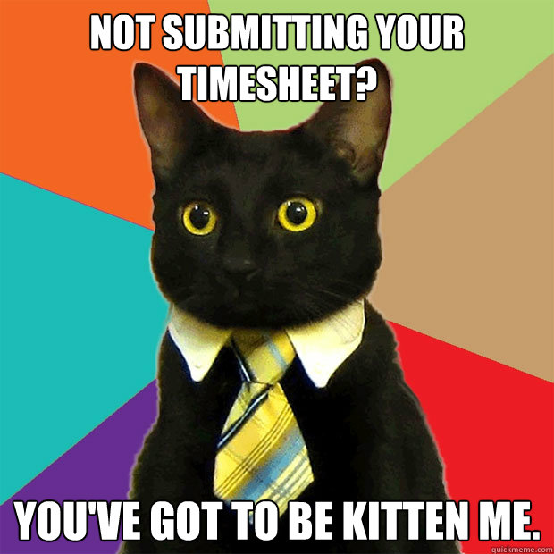 Not submitting your timesheet? You've got to be kitten me.  Business Cat