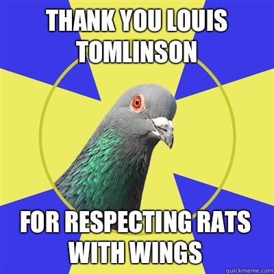 thank you louis tomlinson for respecting rats with wings - thank you louis tomlinson for respecting rats with wings  Religion Pigeon