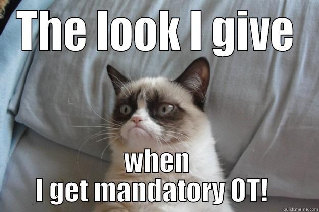 Overtime book - THE LOOK I GIVE WHEN I GET MANDATORY OT!   Grumpy Cat