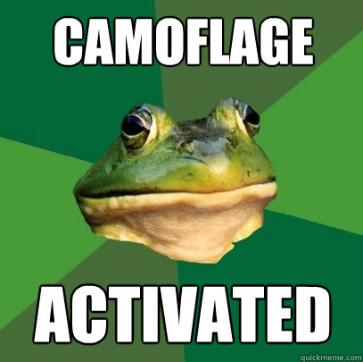 camoflage ACTIVATED - camoflage ACTIVATED  Foul Bachelor Frog