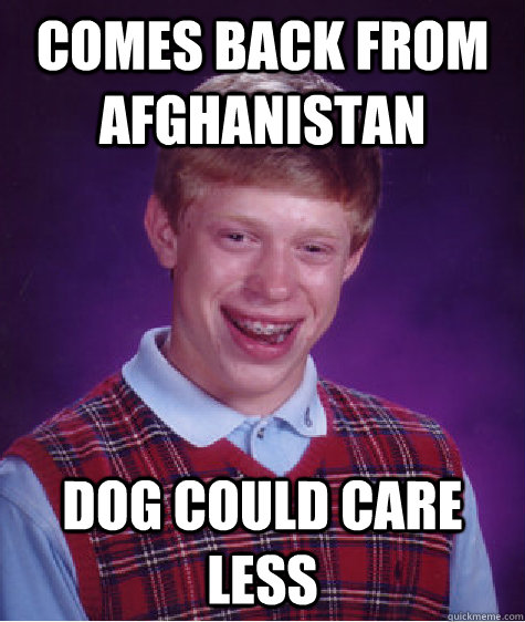 Comes back from afghanistan  dog could care less - Comes back from afghanistan  dog could care less  Bad Luck Brian