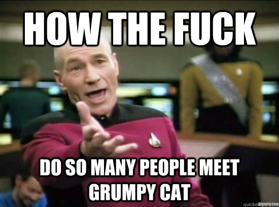 how the fuck Do so many people meet grumpy cat  Annoyed Picard HD