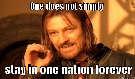                ONE DOES NOT SIMPLY                   STAY IN ONE NATION FOREVER Boromir