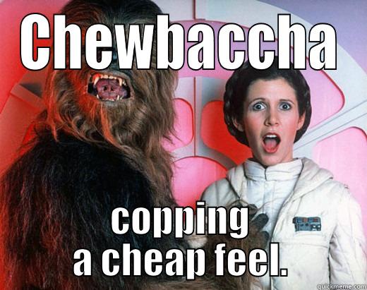 CHEWBACCHA COPPING A CHEAP FEEL. Misc