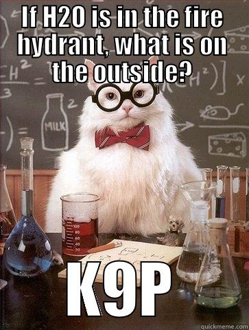 IF H2O IS IN THE FIRE HYDRANT, WHAT IS ON THE OUTSIDE? K9P Chemistry Cat