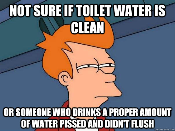 Not sure if toilet water is clean or someone who drinks a proper amount of water pissed and didn't flush  Futurama Fry