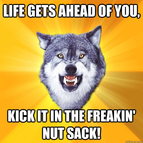 Life gets ahead of you, Kick it in the freakin' nut sack! - Life gets ahead of you, Kick it in the freakin' nut sack!  Courage Wolf