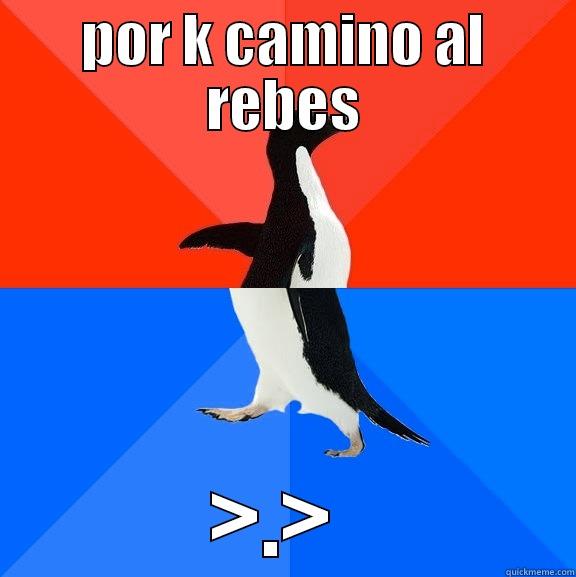 POR K CAMINO AL REBES >.>  Socially Awesome Awkward Penguin