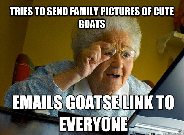 Tries to send family pictures of cute goats Emails Goatse link to everyone  Grandma finds the Internet