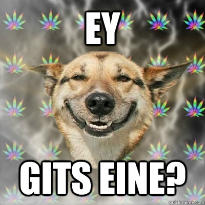 Ey gits eine?  Stoner Dog