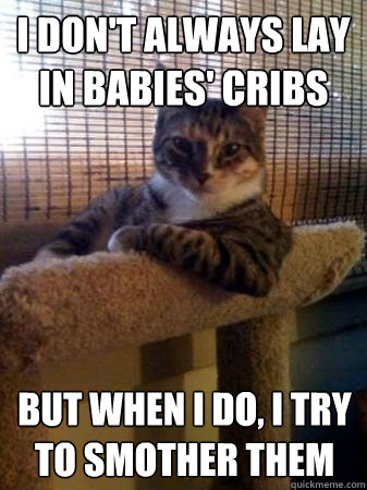 I don't always lay in babies' cribs but when I do, i try to smother them  The Most Interesting Cat in the World