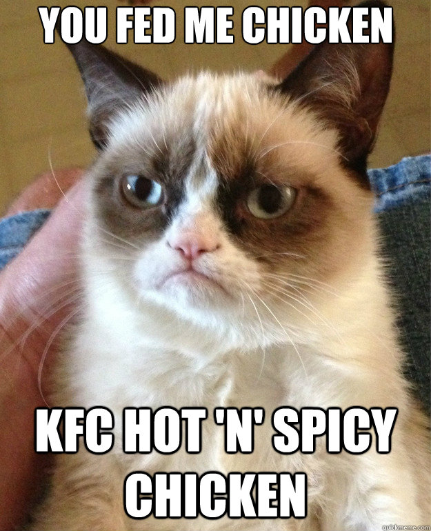 You fed me chicken kfc hot 'n' spicy chicken  Grumpy Cat