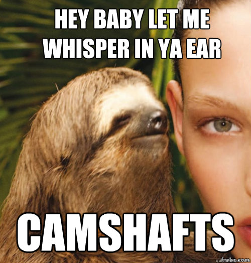 Hey baby let me whisper in ya ear camshafts  rape sloth