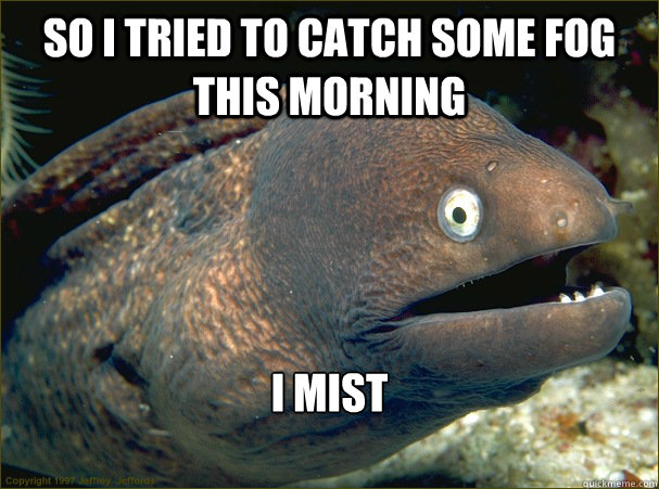 So i tried to catch some fog this morning I mist  Bad Joke Eel