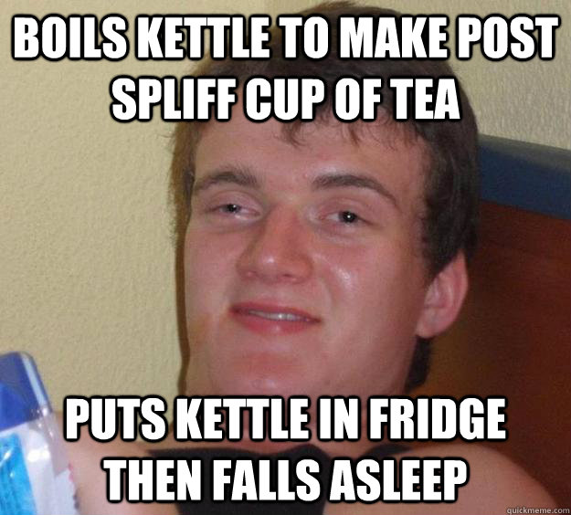 Boils Kettle to make post spliff cup of tea Puts Kettle in fridge then falls asleep  10 Guy